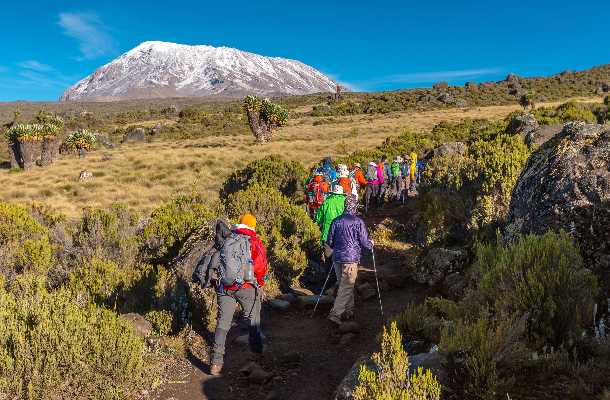 Rongai Route Kilimanjaro climb from the northern side