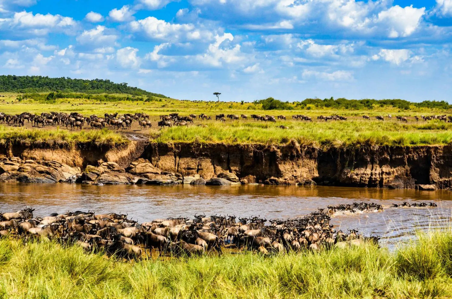 10-day Tanzania grand safari and Zanzibar holiday